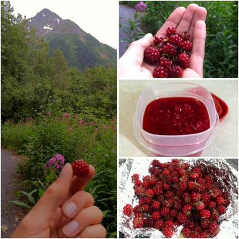 After unexpectedly coming across some nagoon berries on a hike, my friend and I gathered as many of the Alaskan red fruits as our hands could carry.  Then, it was time to come up with a homemade all-natural jam recipe!